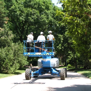 Élagage de sécurité autour de lignes électriques.
